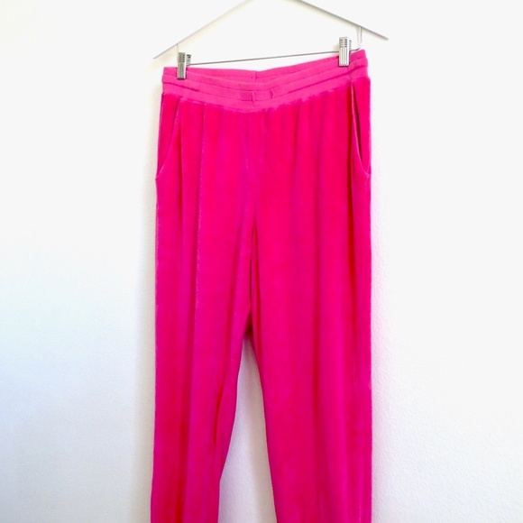 SUNDRY Zip Ankle Velour Jogger Sweatpants Hot Pink Size 3 Large - Picture 9 of 15